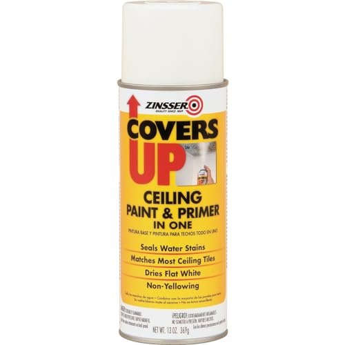 Best Ceiling Paint for One Coat Coverage