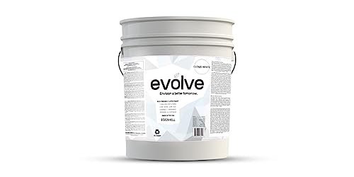 Best Exterior Paint for Mobile Homes