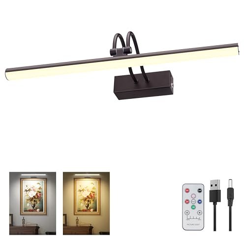 Best Paint Colors for Low Light Rooms