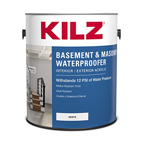 Best Paint Sprayer for Basement Walls