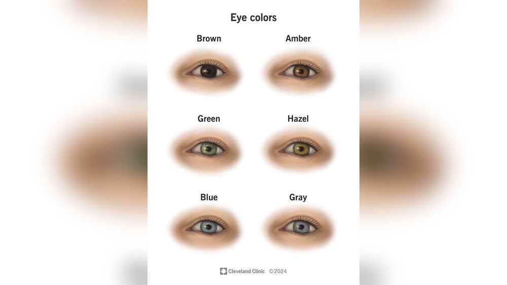 Are There Many Different Versions of Hazel Eye Color