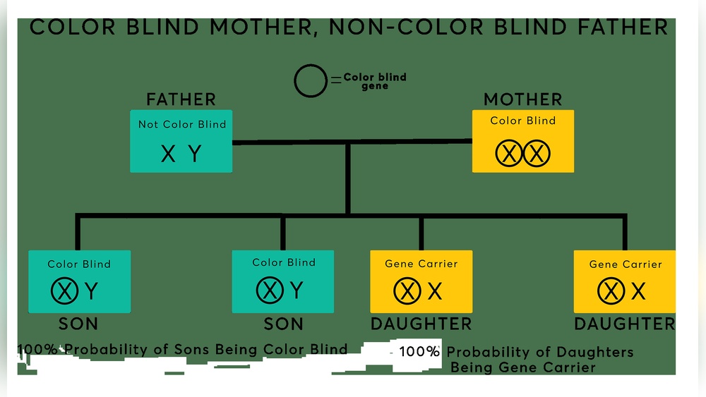 Can Girls Be Color Blind