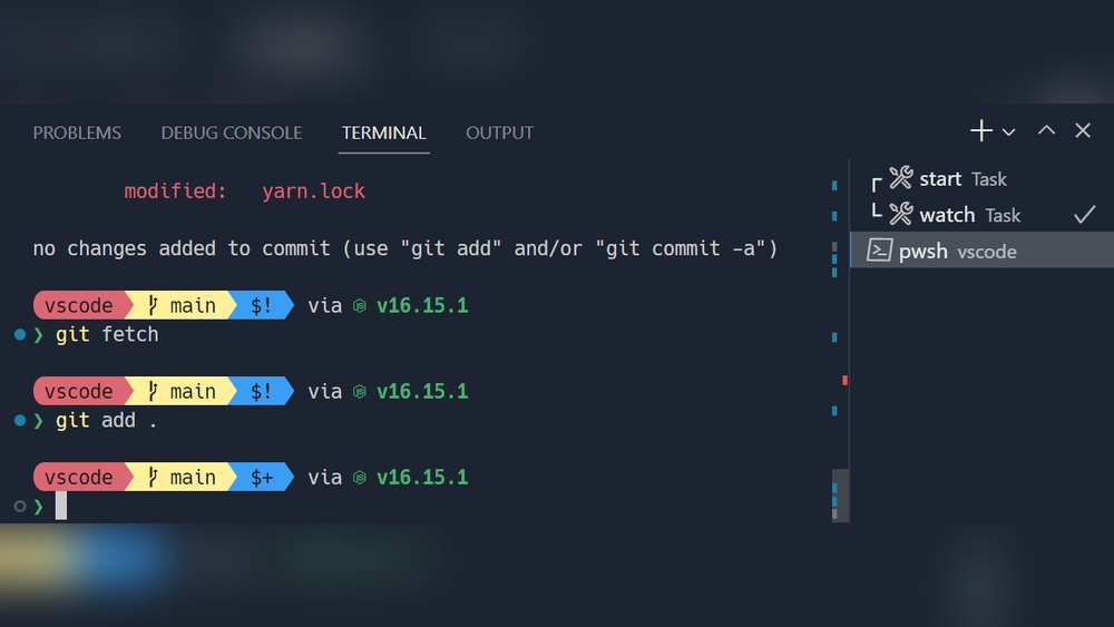 How to Get Colorful Terminal in Vscode