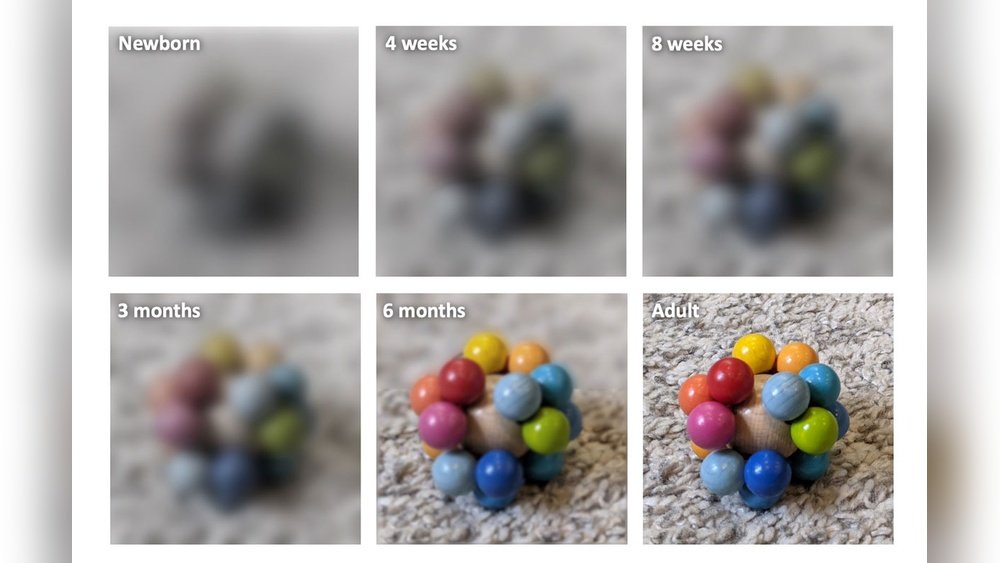 When Can Babies See Color