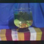 When was Color Film Invented